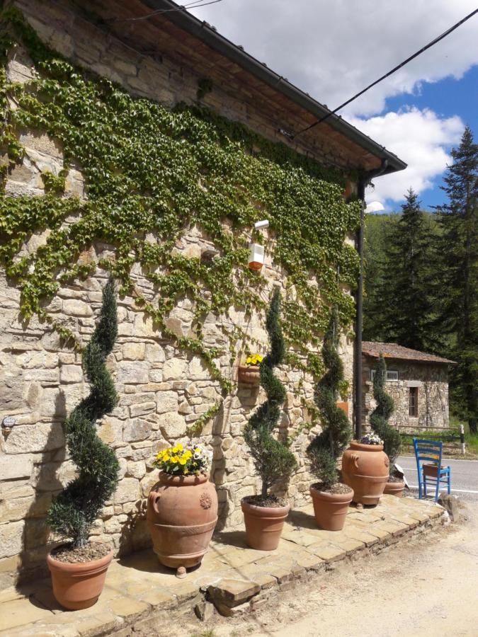 La Fiaba Pensionat Castellina in Chianti Exteriör bild